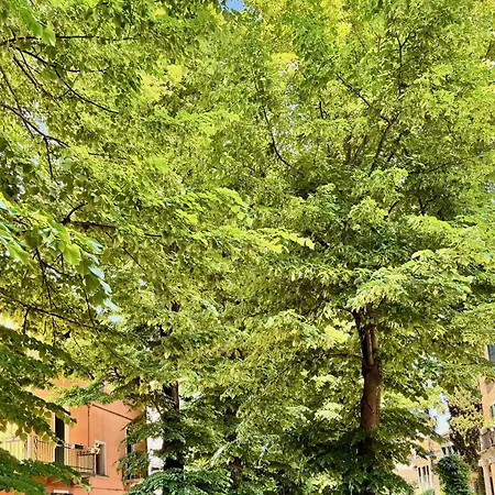 Airy & Panoramic With Terrace, 2 Minutes From The Sea アパート ヴェネツィア・リド島