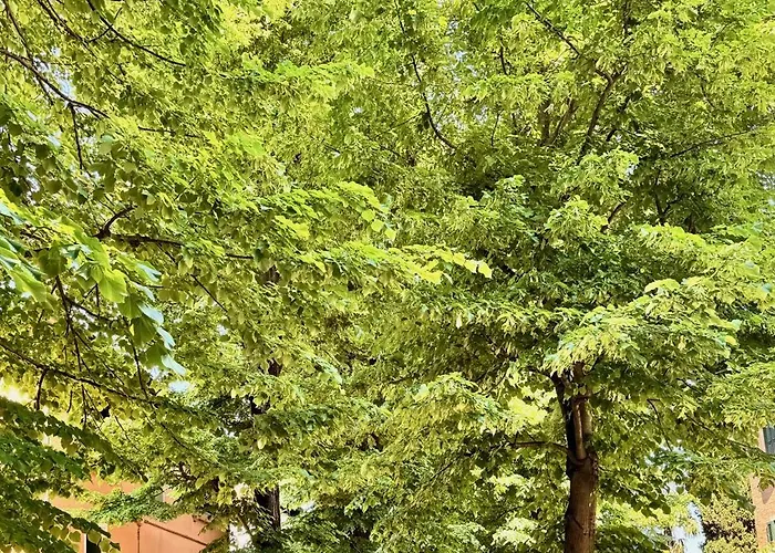 Airy & Panoramic With Terrace, 2 Minutes From The Sea Lejlighed Venedigs Lido